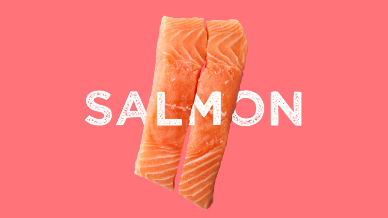 Salmon